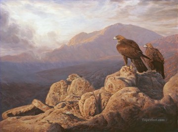 águila aguilas reales aves Pinturas al óleo